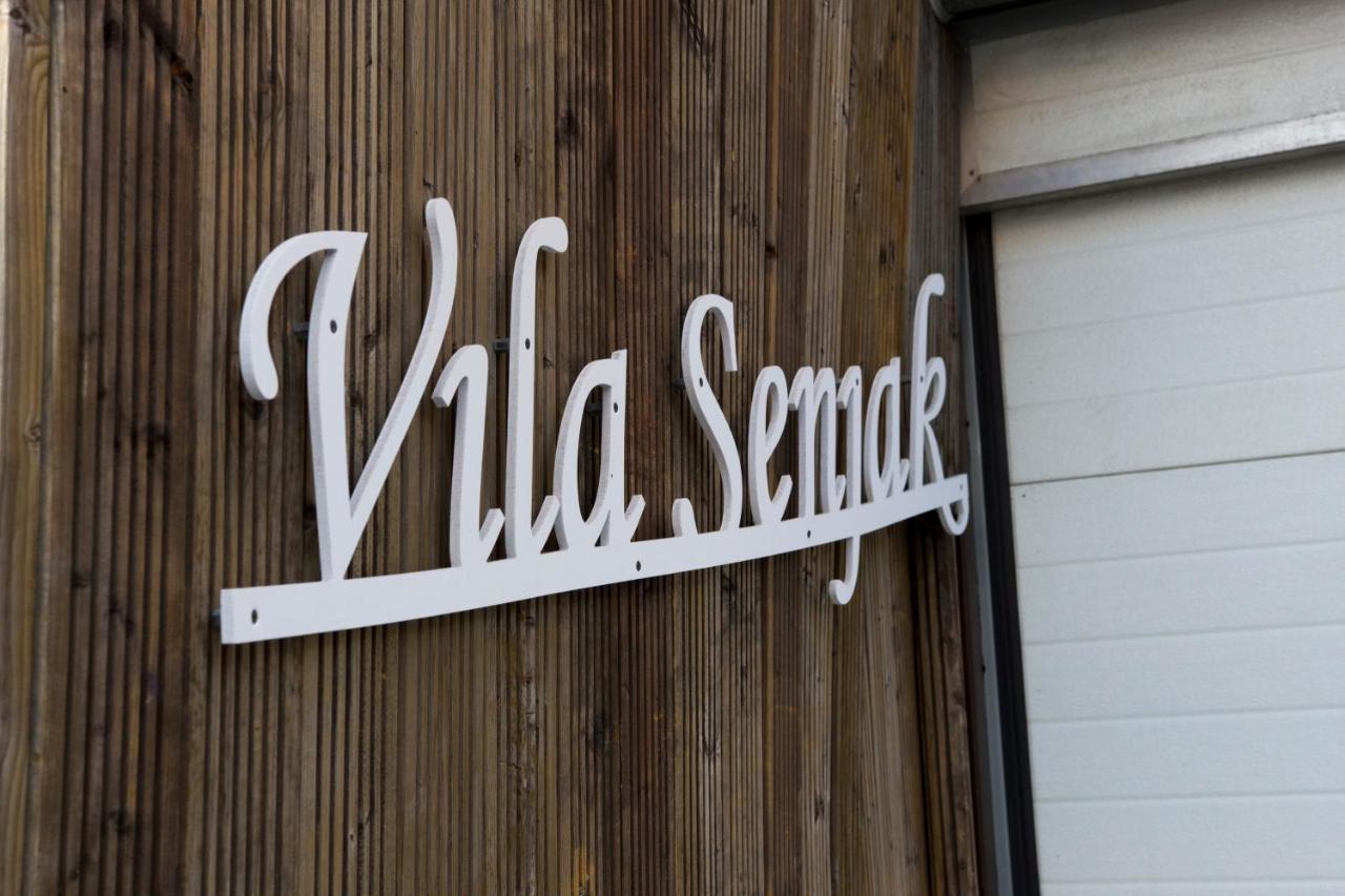 Vila Senjak Belgrad Exterior foto